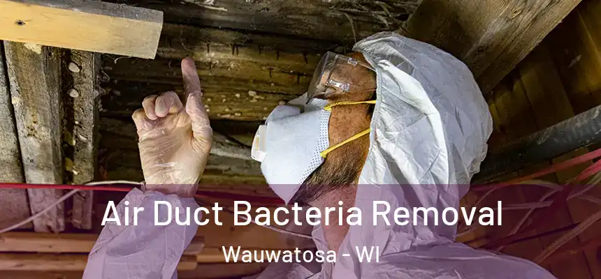 Air Duct Bacteria Removal Wauwatosa - WI