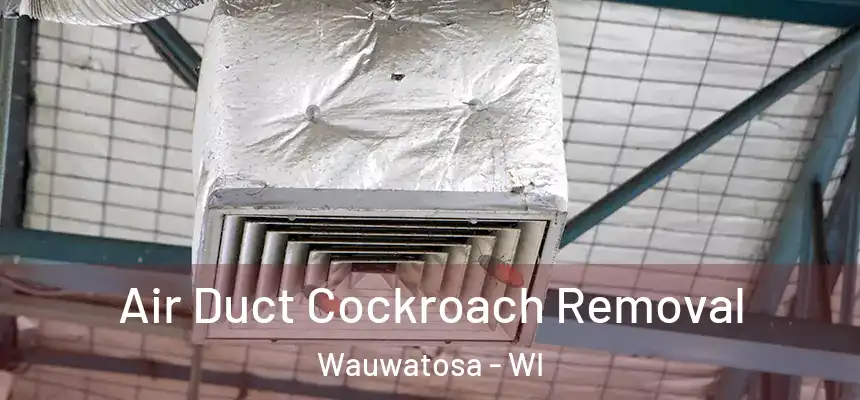 Air Duct Cockroach Removal Wauwatosa - WI