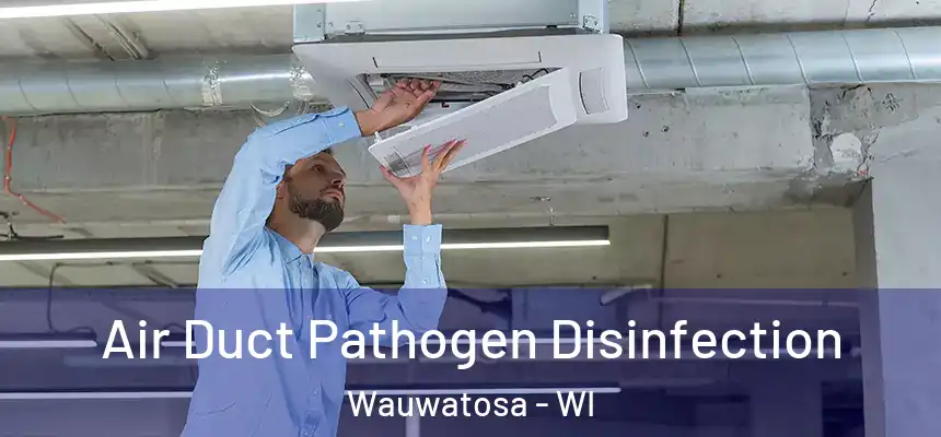  Air Duct Pathogen Disinfection Wauwatosa - WI