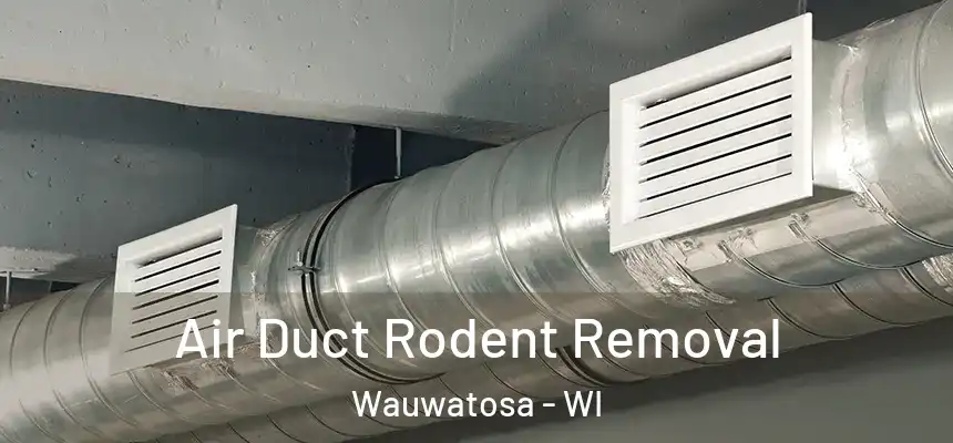 Air Duct Rodent Removal Wauwatosa - WI
