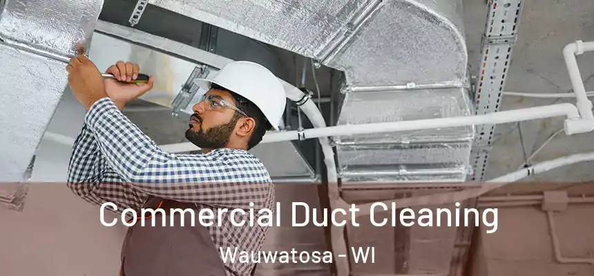  Commercial Duct Cleaning Wauwatosa - WI