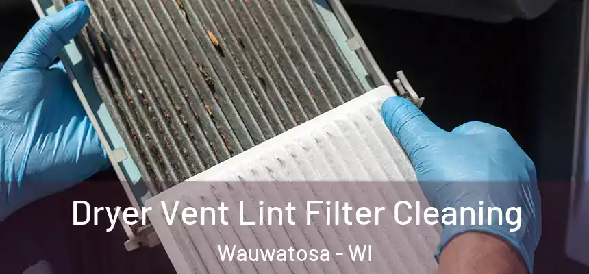  Dryer Vent Lint Filter Cleaning Wauwatosa - WI