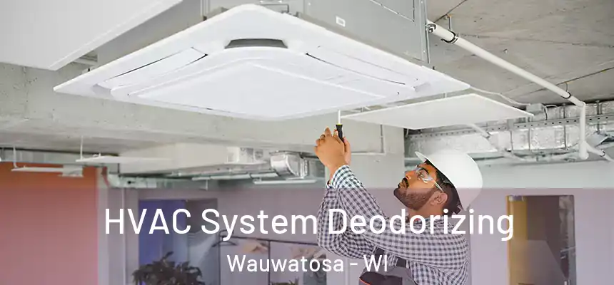 HVAC System Deodorizing Wauwatosa - WI