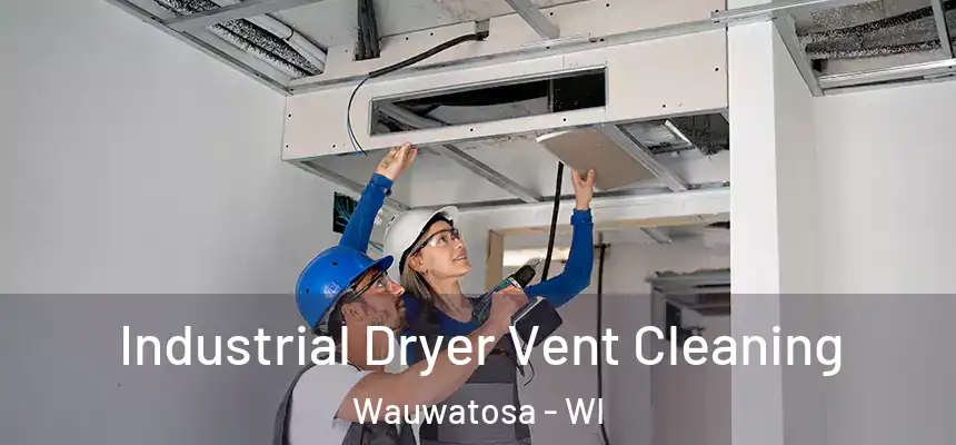 Industrial Dryer Vent Cleaning Wauwatosa - WI