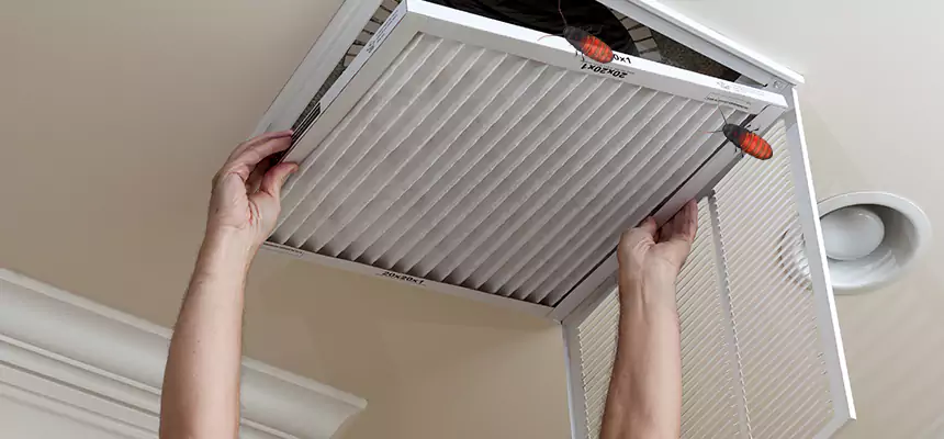 Preventive Cockroach-Proofing for Ducts in Wauwatosa