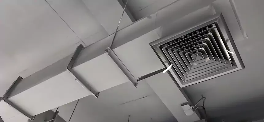 Our Pest Removal From Ducts Services in Wauwatosa, WI