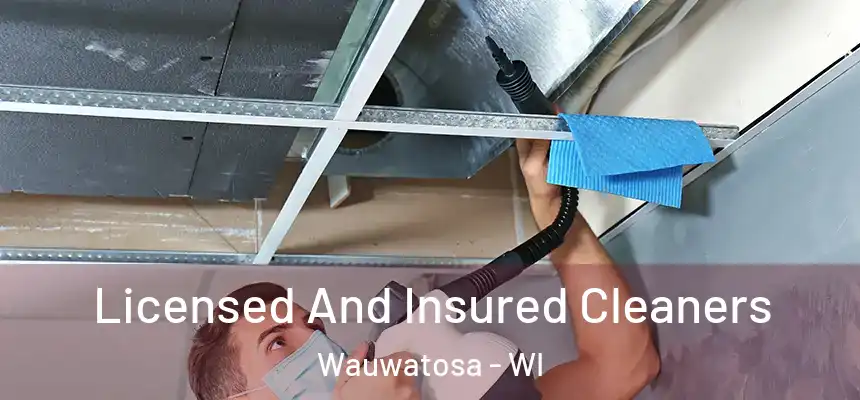 Licensed And Insured Cleaners Wauwatosa - WI