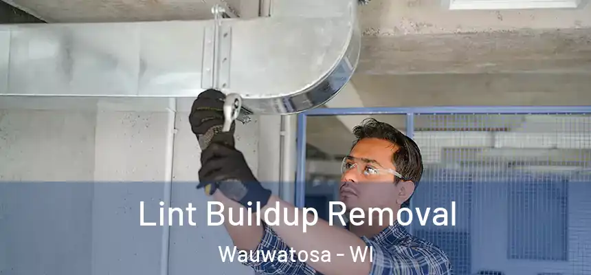  Lint Buildup Removal Wauwatosa - WI