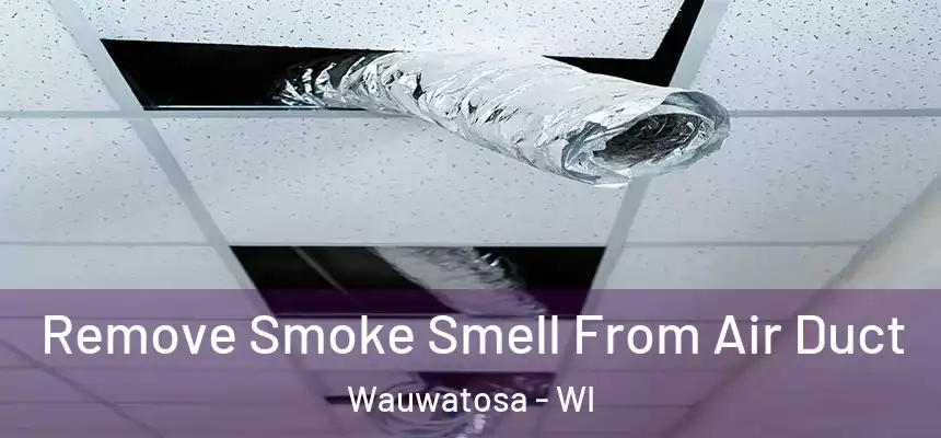 Remove Smoke Smell From Air Duct Wauwatosa - WI