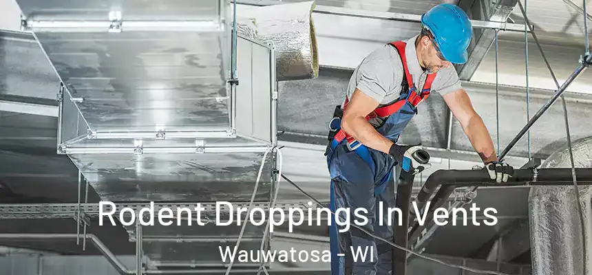 Rodent Droppings In Vents Wauwatosa - WI
