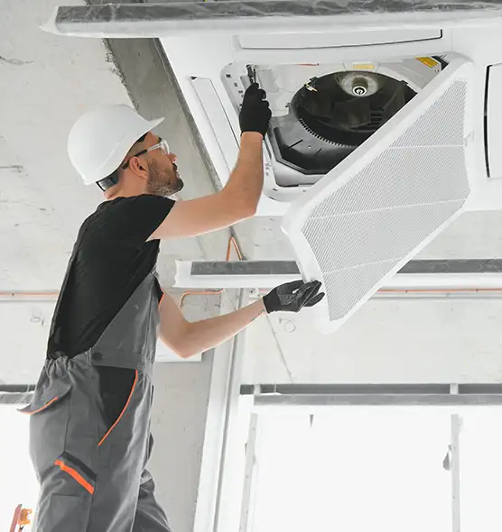 About Air Duct Rodent Removal in Wauwatosa, WI