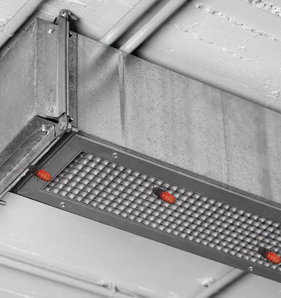 Affordable Insect Removal from Air Ducts in Wauwatosa, WI