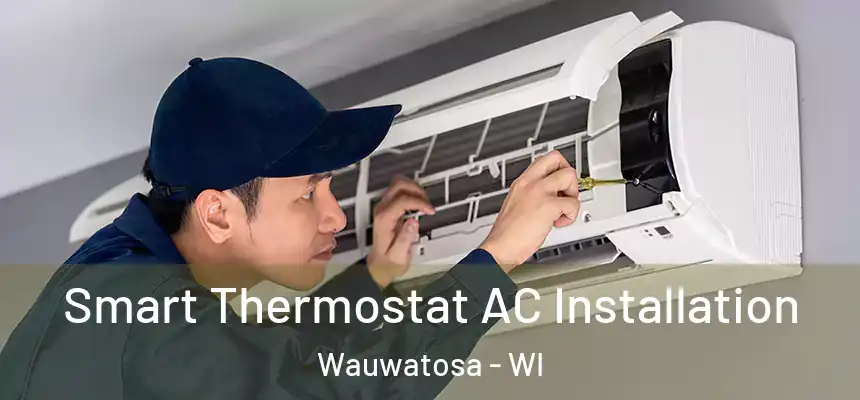  Smart Thermostat AC Installation Wauwatosa - WI